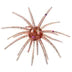 Nano Spike - Mayfly