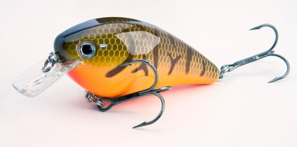 Strike King KVD 1.5 crankbait - Orange Belly Craw – Z's Tackle